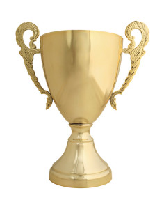 Pokal-201100282074[1]